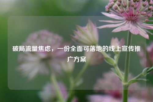 破局流量焦虑，一份全面可落地的线上宣传推广方案