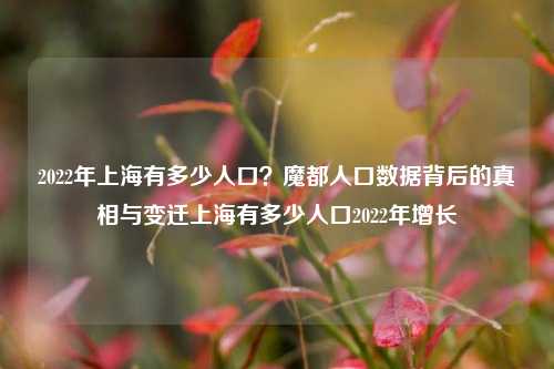 2022年上海有多少人口？魔都人口数据背后的真相与变迁上海有多少人口2022年增长
