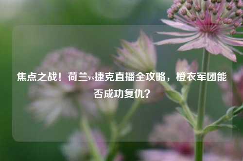 焦点之战！荷兰vs捷克直播全攻略，橙衣军团能否成功复仇？