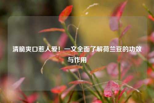 清脆爽口惹人爱！一文全面了解荷兰豆的功效与作用