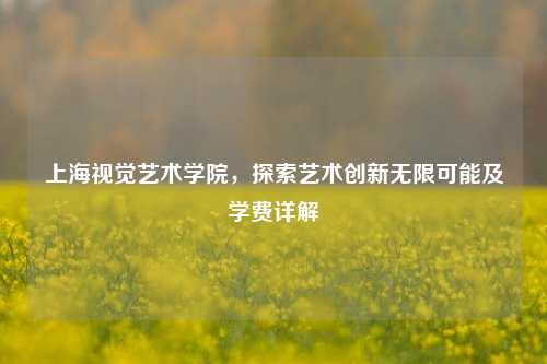 上海视觉艺术学院，探索艺术创新无限可能及学费详解