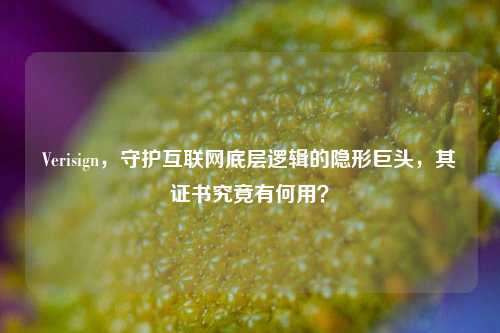 Verisign，守护互联网底层逻辑的隐形巨头，其证书究竟有何用？