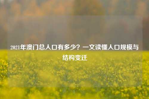 2021年澳门总人口有多少？一文读懂人口规模与结构变迁