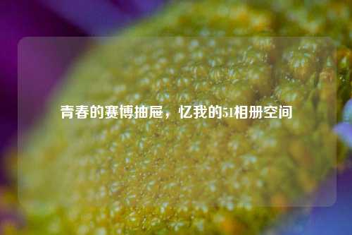青春的赛博抽屉，忆我的51相册空间