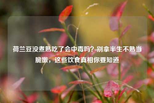 荷兰豆没煮熟吃了会中毒吗？别拿半生不熟当脆嫩，这些饮食真相你要知道