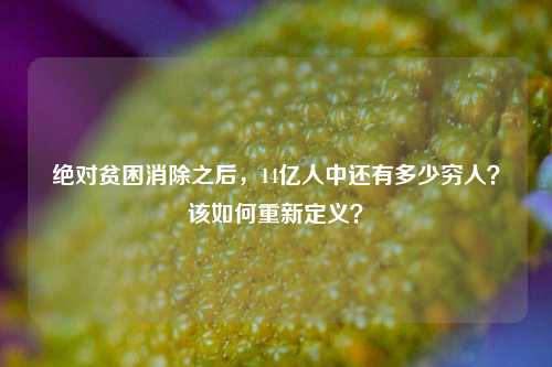 绝对贫困消除之后，14亿人中还有多少穷人？该如何重新定义？