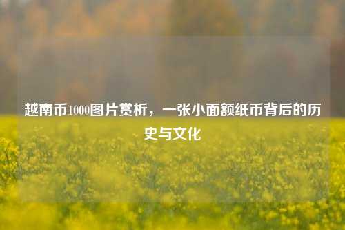 越南币1000图片赏析，一张小面额纸币背后的历史与文化