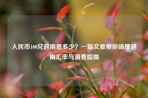 人民币100兑越南盾多少？一篇文章带你搞懂越南汇率与消费指南