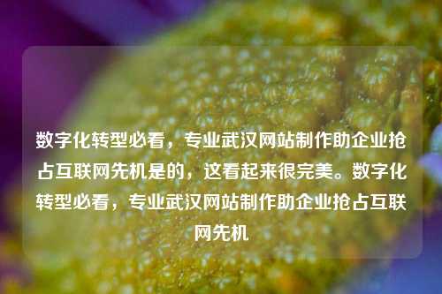 数字化转型必看，专业武汉网站制作助企业抢占互联网先机是的，这看起来很完美。数字化转型必看，专业武汉网站制作助企业抢占互联网先机