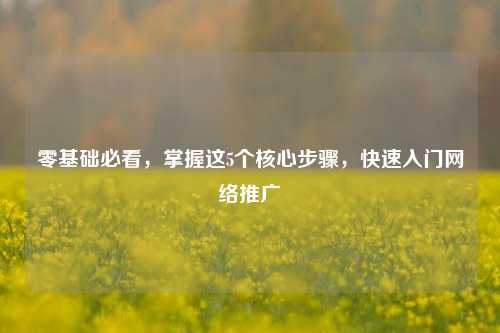 零基础必看，掌握这5个核心步骤，快速入门网络推广