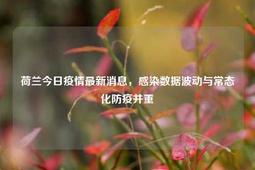 荷兰今日疫情最新消息，感染数据波动与常态化防疫并重