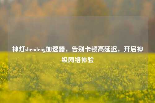 神灯shendeng加速器，告别卡顿高延迟，开启神级网络体验