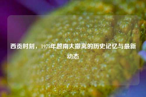 西贡时刻，1975年越南大撤离的历史记忆与最新动态