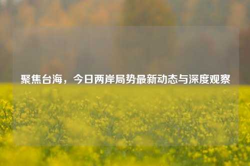 聚焦台海，今日两岸局势最新动态与深度观察