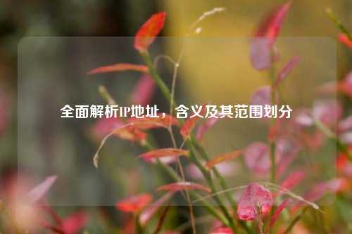 全面解析IP地址，含义及其范围划分