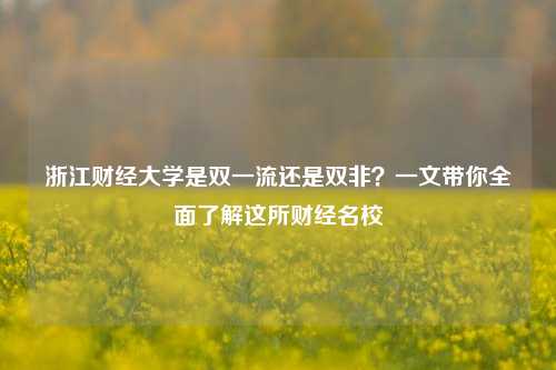 浙江财经大学是双一流还是双非？一文带你全面了解这所财经名校