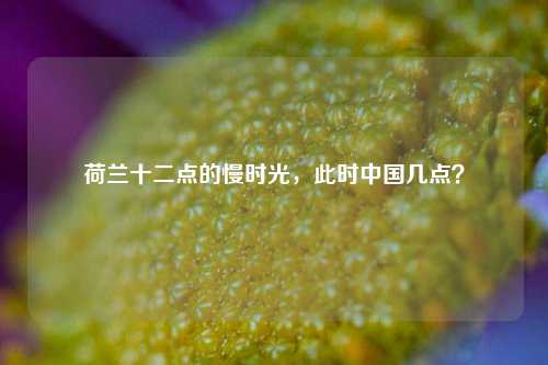 荷兰十二点的慢时光，此时中国几点？
