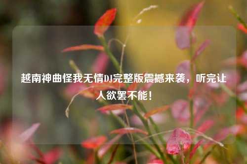 越南神曲怪我无情DJ完整版震撼来袭，听完让人欲罢不能！