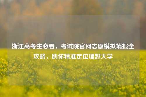 浙江高考生必看，考试院官网志愿模拟填报全攻略，助你精准定位理想大学
