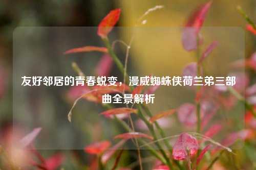 友好邻居的青春蜕变，漫威蜘蛛侠荷兰弟三部曲全景解析