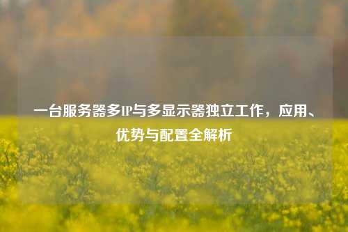 一台服务器多IP与多显示器独立工作，应用、优势与配置全解析