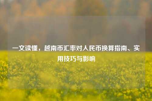一文读懂，越南币汇率对人民币换算指南、实用技巧与影响