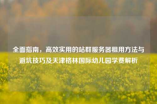 全面指南，高效实用的站群服务器租用方法与避坑技巧及天津格林国际幼儿园学费解析