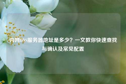 内网DNS服务器地址是多少？一文教你快速查找与确认及常见配置