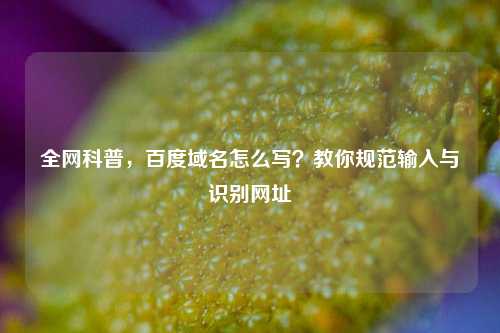 全网科普，百度域名怎么写？教你规范输入与识别网址