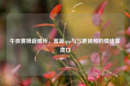 午夜赛博避难所，蜜源app与三更视频的情绪宣泄口