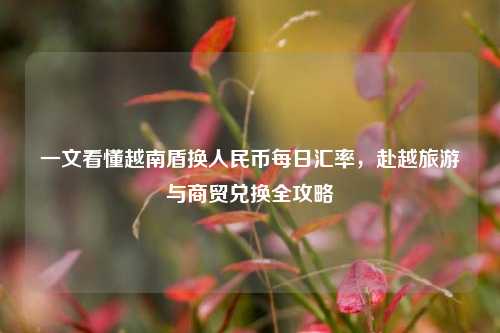 一文看懂越南盾换人民币每日汇率，赴越旅游与商贸兑换全攻略
