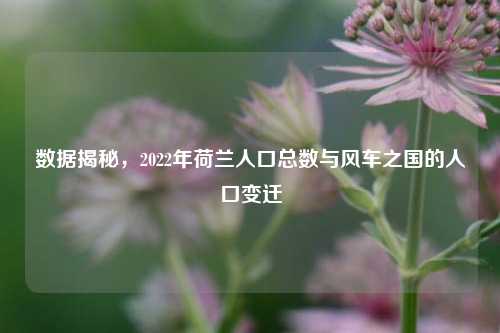 数据揭秘，2022年荷兰人口总数与风车之国的人口变迁
