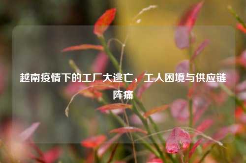 越南疫情下的工厂大逃亡，工人困境与供应链阵痛