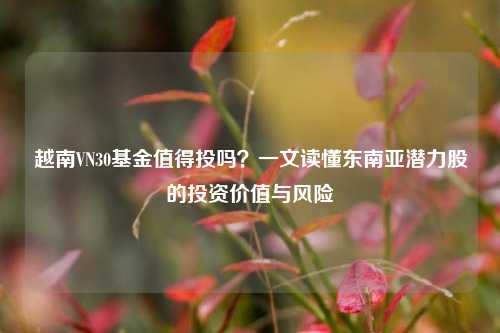 越南VN30基金值得投吗？一文读懂东南亚潜力股的投资价值与风险