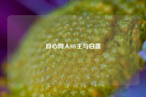 自心同人MV王与白莲