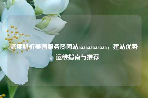 深度解析美国服务器网站aaaaaaaaaaaa，建站优势、运维指南与推荐