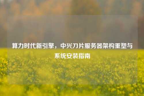 算力时代新引擎，中兴刀片服务器架构重塑与系统安装指南