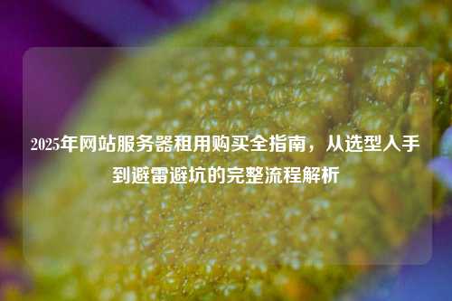 2025年网站服务器租用购买全指南，从选型入手到避雷避坑的完整流程解析