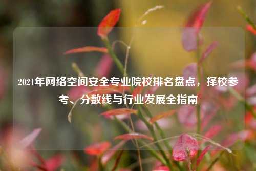 2021年网络空间安全专业院校排名盘点，择校参考、分数线与行业发展全指南