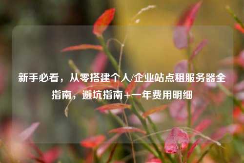 新手必看，从零搭建个人/企业站点租服务器全指南，避坑指南+一年费用明细