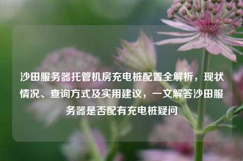 沙田服务器托管机房充电桩配置全解析，现状情况、查询方式及实用建议，一文解答沙田服务器是否配有充电桩疑问