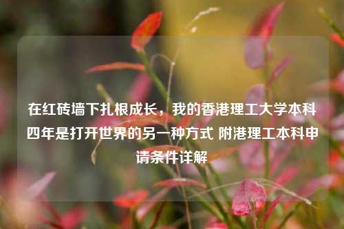在红砖墙下扎根成长，我的香港理工大学本科四年是打开世界的另一种方式 附港理工本科申请条件详解