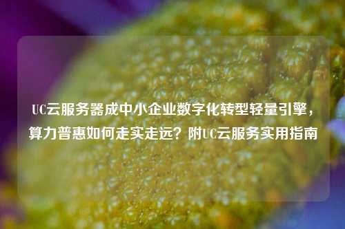 UC云服务器成中小企业数字化转型轻量引擎，算力普惠如何走实走远？附UC云服务实用指南