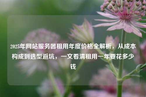 2025年网站服务器租用年度价格全解析，从成本构成到选型避坑，一文看清租用一年要花多少钱