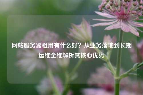 网站服务器租用有什么好？从业务落地到长期运维全维解析其核心优势