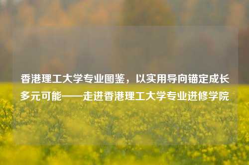 香港理工大学专业图鉴，以实用导向锚定成长多元可能——走进香港理工大学专业进修学院