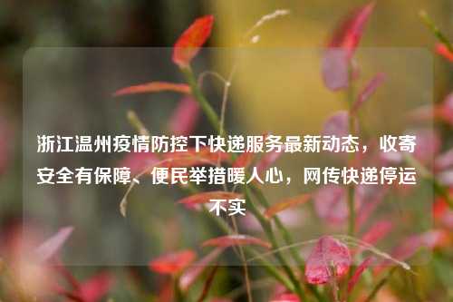 浙江温州疫情防控下快递服务最新动态，收寄安全有保障、便民举措暖人心，网传快递停运不实