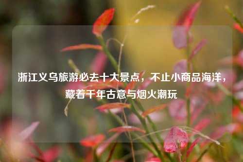 浙江义乌旅游必去十大景点，不止小商品海洋，藏着千年古意与烟火潮玩
