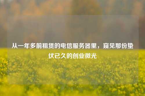 从一年多前租赁的电信服务器里,窥见那份蛰伏已久的创业微光