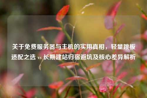 关于免费服务器与主机的实用真相,轻量跳板适配之选 vs 长期建站归宿避坑及核心差异解析